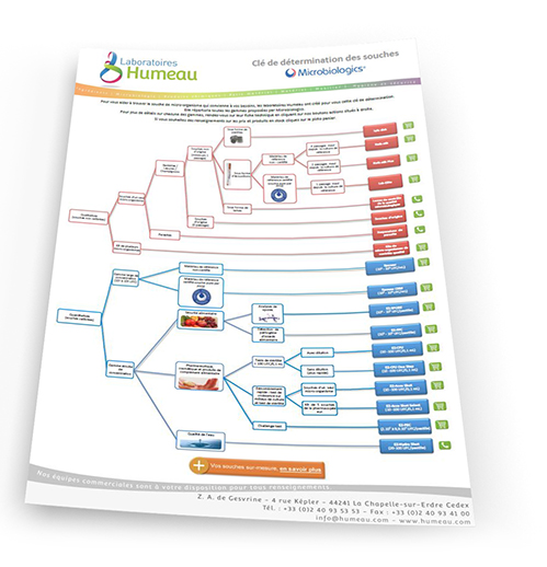 Organigramme souches Microbiologics