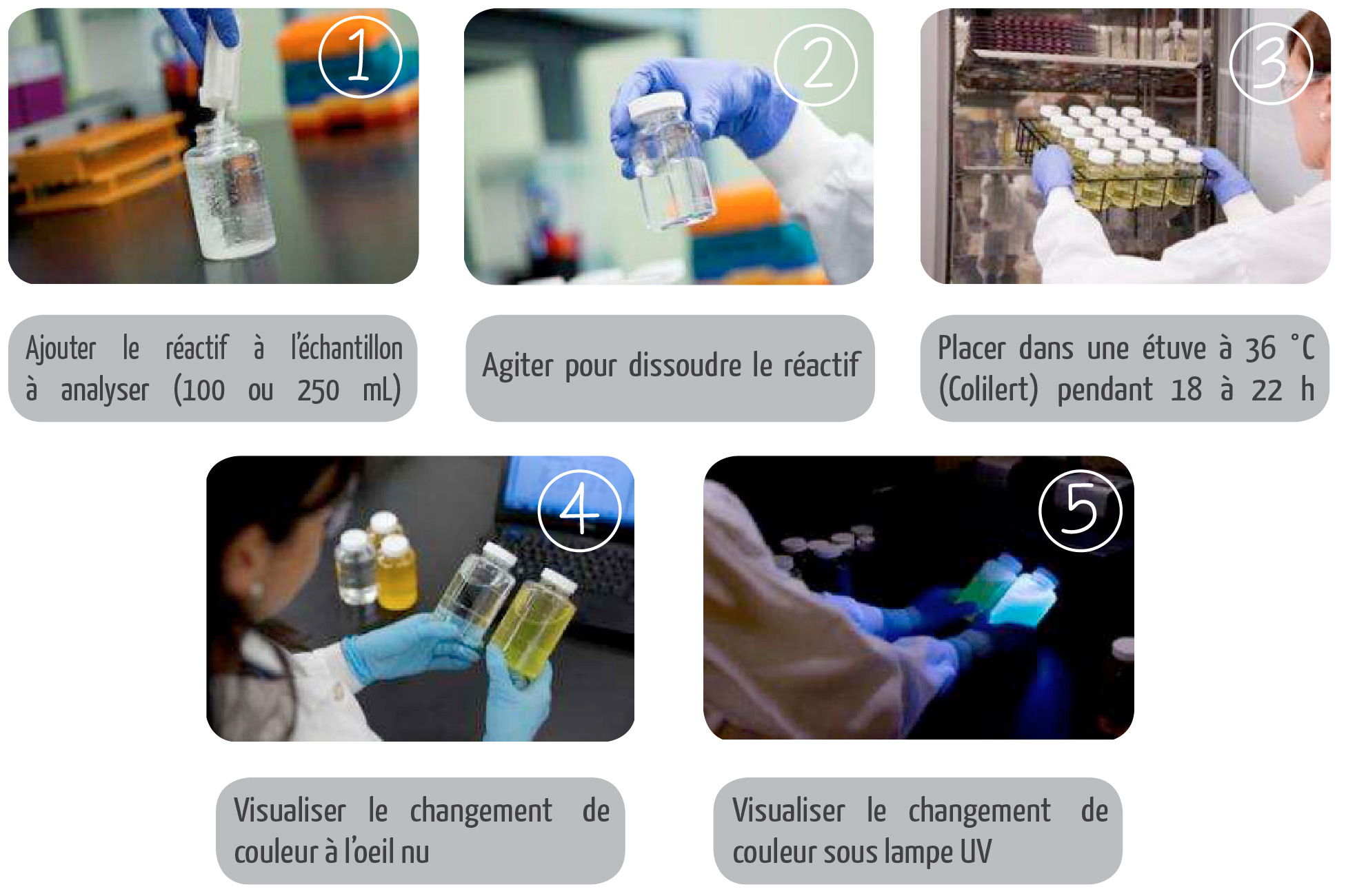 Réaliser une analyse présence/absence avec IDEXX