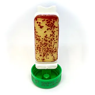 [245231] image.webp