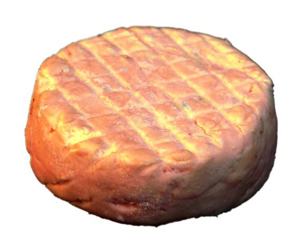 250312.jpg