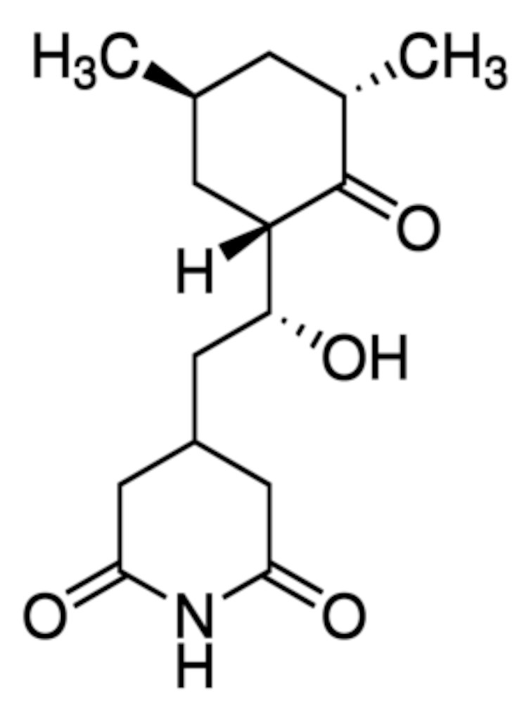 ACTIDIONE 01810 - 1G